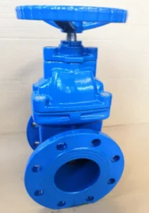 Resilient Seated Gate Valve